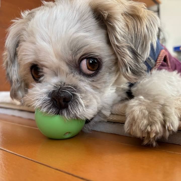 7df8cc51 9245 4451 aa5b 6492fb8c8131 1764625664517