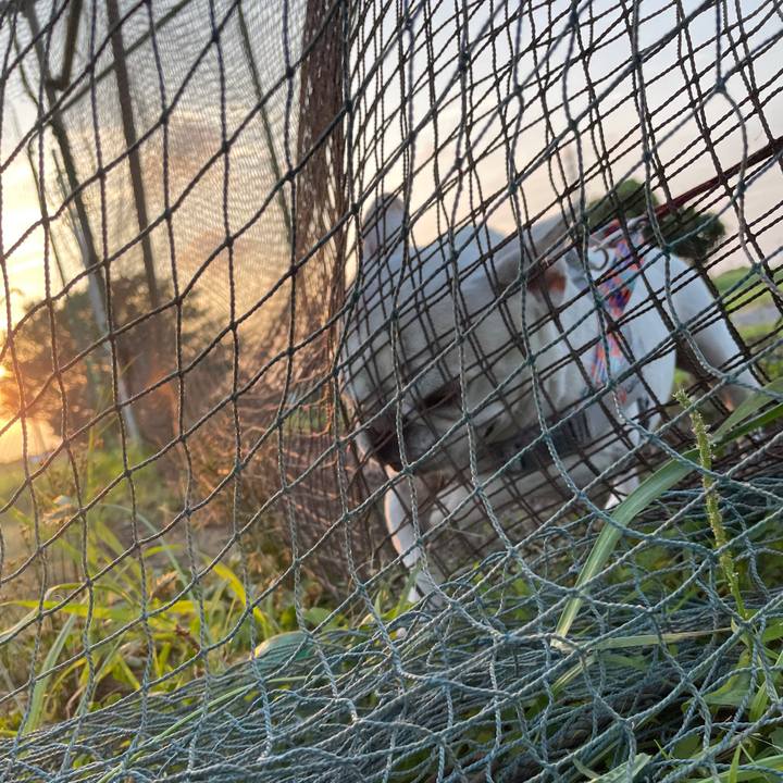 7df8e837 f31a 46b8 a97f 5b443dcc1857 1752190846976