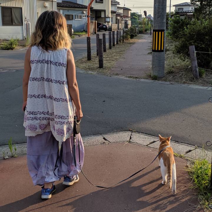 7df8ff53 32af 4416 b782 736ec9ef7140 1564930786548