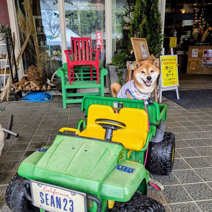 7df9152d 82c0 4049 9c81 12aacb401445 1745407645447