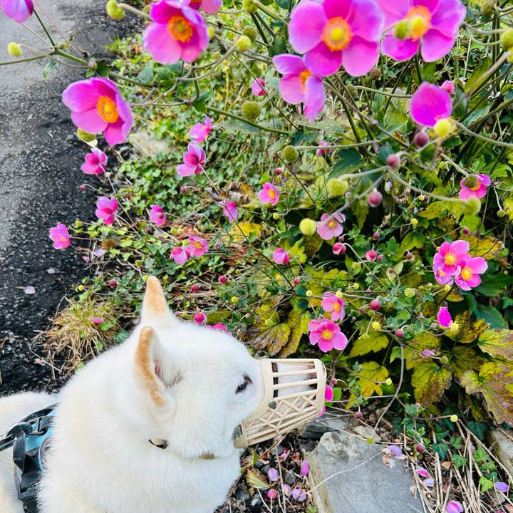 7df931af 5ad4 40f0 b5eb aff835779a9d 1728773770871