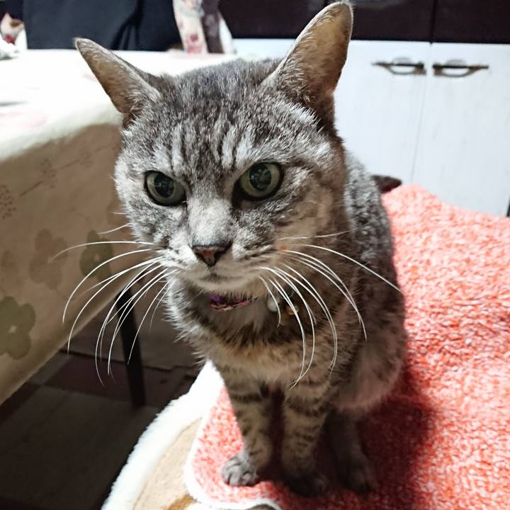 7df97d1a b59e 4e55 bd66 b4b910cd616b 1581018818167