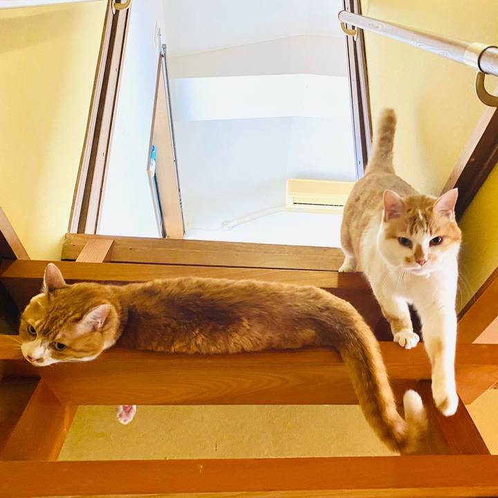 7df99348 9c34 476c a754 e4fbae9bd9cf 1720530623063