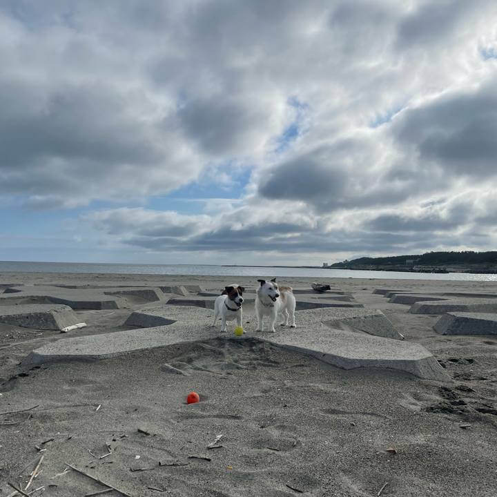 7dfa0e5e dabd 4679 9921 25fa58678bf3 1750116659569