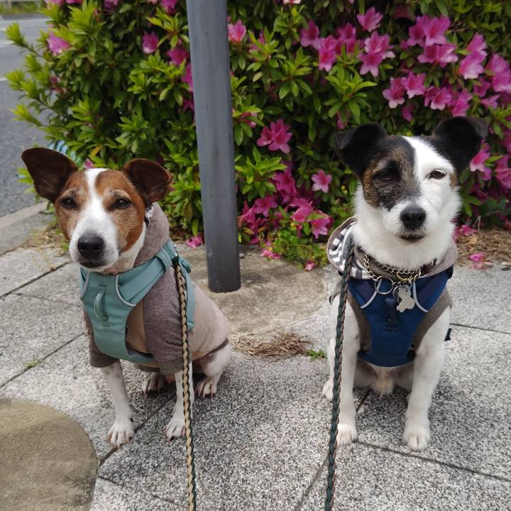 7dfa339b ec0b 4aea 99ed 76bcd9155632 1746334355453