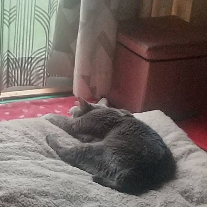 7dfa5097 f559 4a04 845b cafc2791ffef 1685410623034