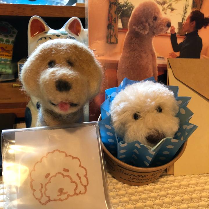 7dfa5f2c d648 4c9f aa1e 326922afb10e 1532095641188