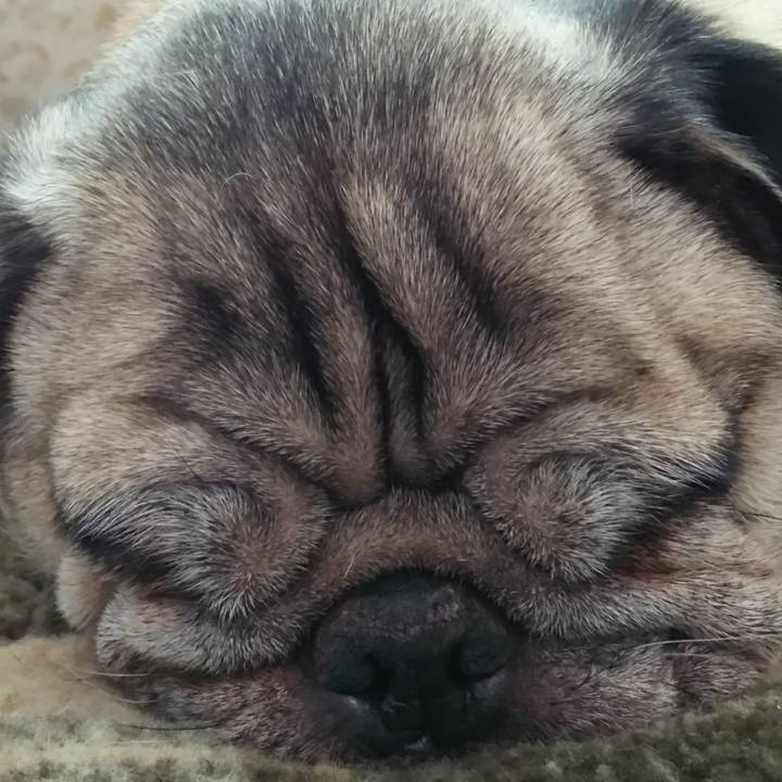 7dfad6e9 3c54 400d 8448 a403487bf9a8 1580414613404