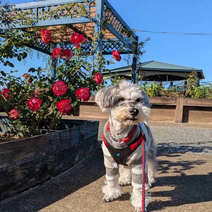 7dfaf157 ee3f 4ddc a16a a2e69585b54d 1764421752443