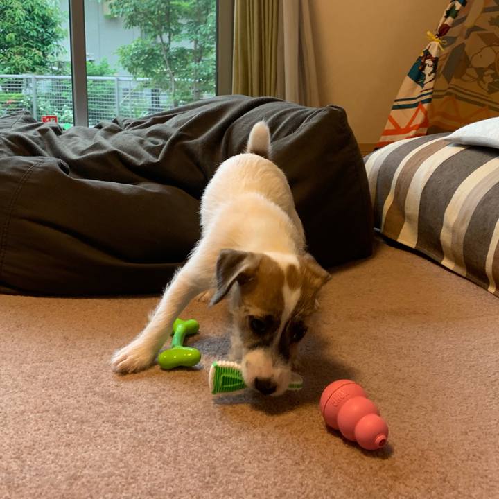 7dfb3369 af27 40c1 8a38 ece714d89c6b 1560064656271