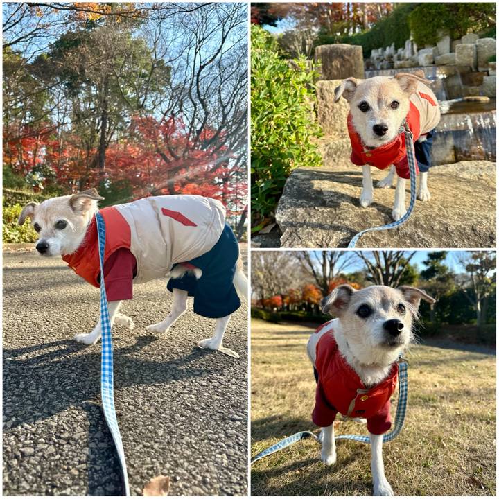 7dfb61c9 6ae0 4539 9f6c dff0303e6202 1734762304287