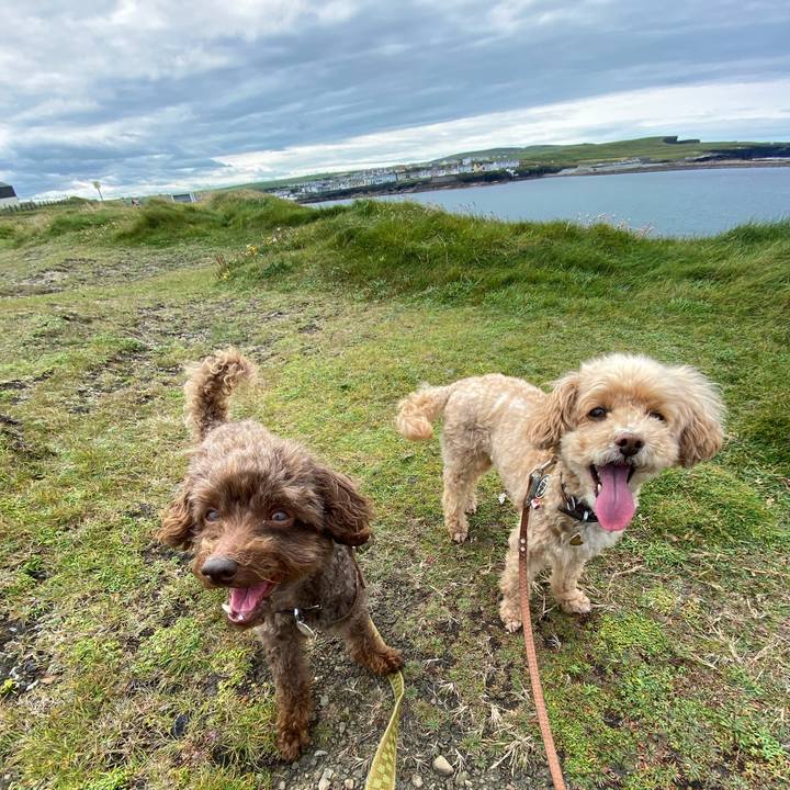 7dfb9235 ba80 4dff 99b3 7907e95a5b35 1628628062467