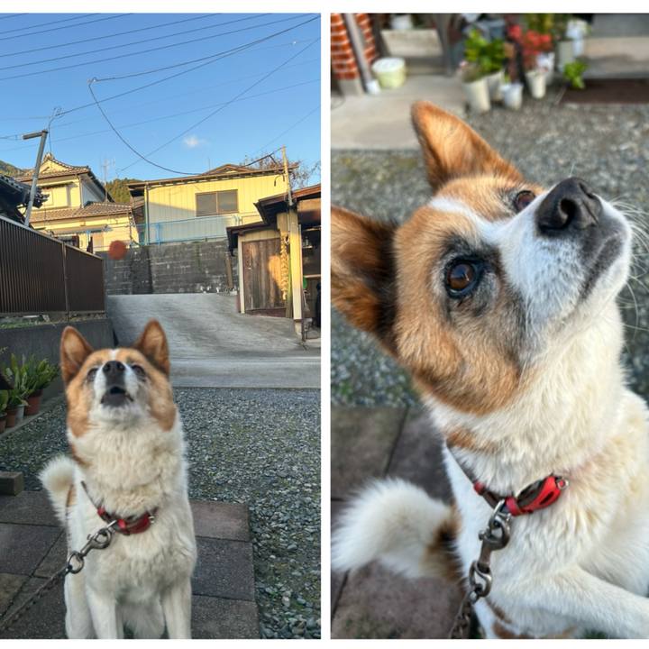 7dfbb725 e243 43b0 a51b efd1c6f96bce 1762725870938