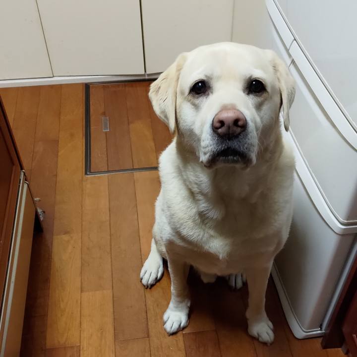 7dfbd46c 0647 4c08 bf79 c8f7807c232a 1700486449415