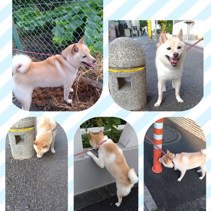 7dfbf192 c7a8 4aa3 b815 91e27e84badb 1597585991739