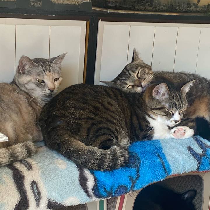 7dfc1c95 557e 40fd 9ca8 257a381b7b9b 1637722224282