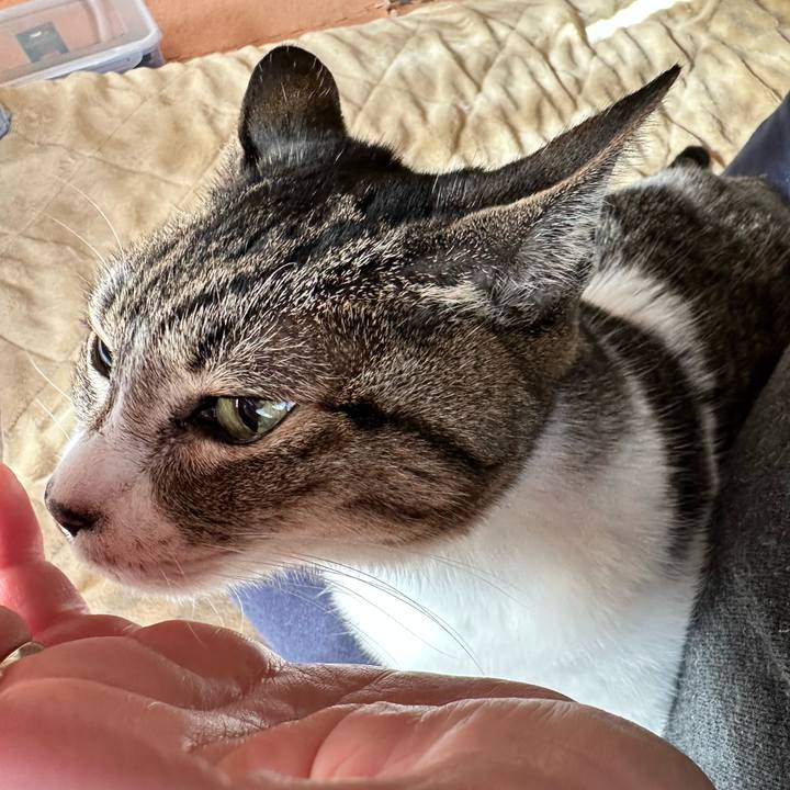 7dfc20ea c2a4 40ed beec 3ffadbee13ca 1674439976012