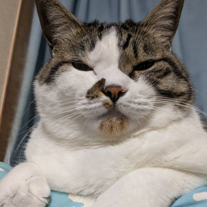 7dfc3158 2362 4d0b b3b0 cf56d003ca7e 1782255651402