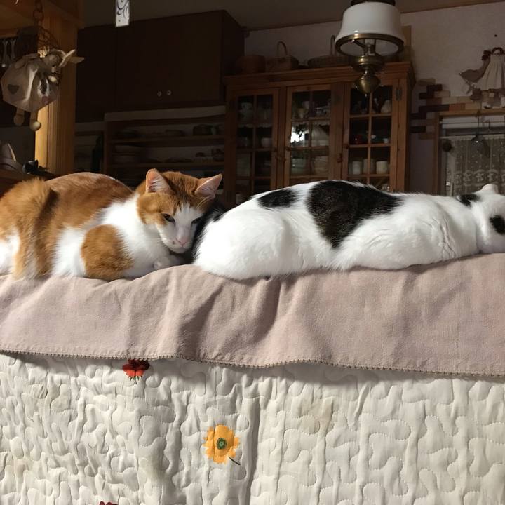 7dfc331c 26c5 4e5d b4c0 75dc18105936 1559824683263