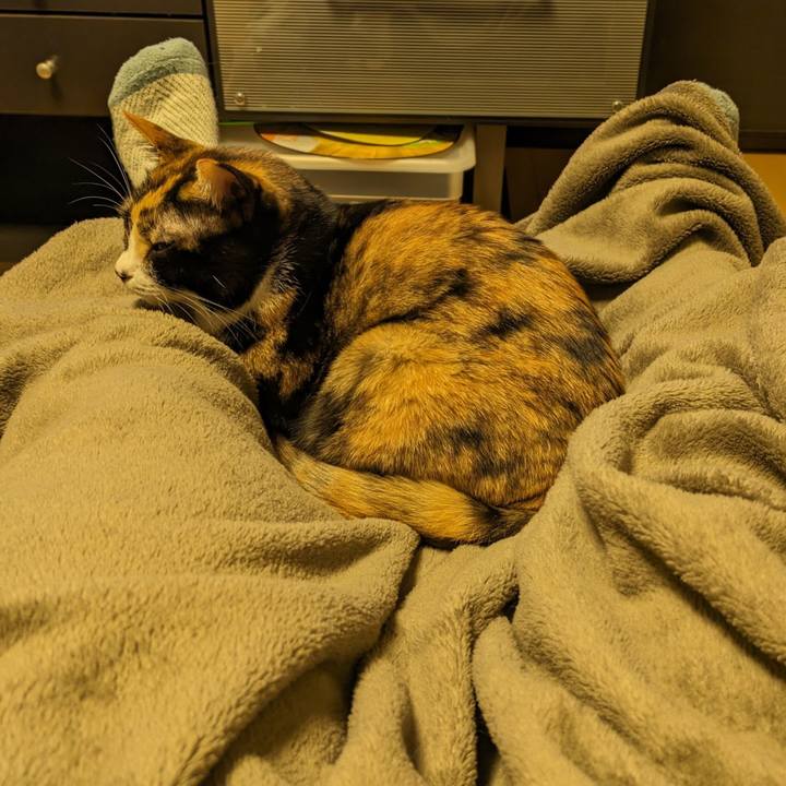 7dfc48d7 27e9 41be 8189 cba310ec37b5 1701748567673