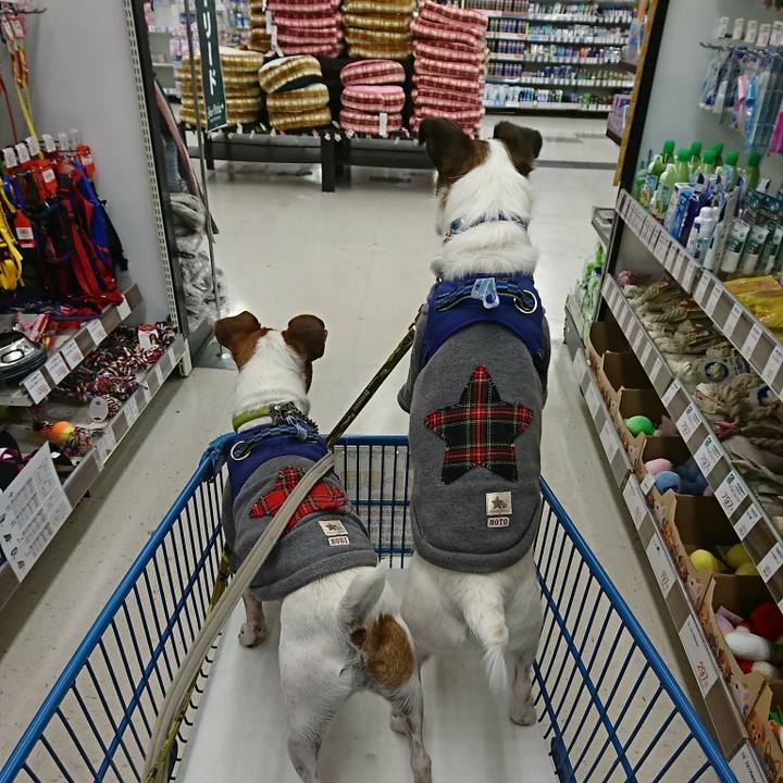 7dfc6d2f c1c4 4cfb 9026 b2ecd4c6dd88 1579778312568