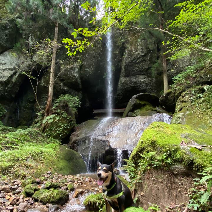 7dfc718c 75d0 4330 9de7 baa547e76381 1632129257806