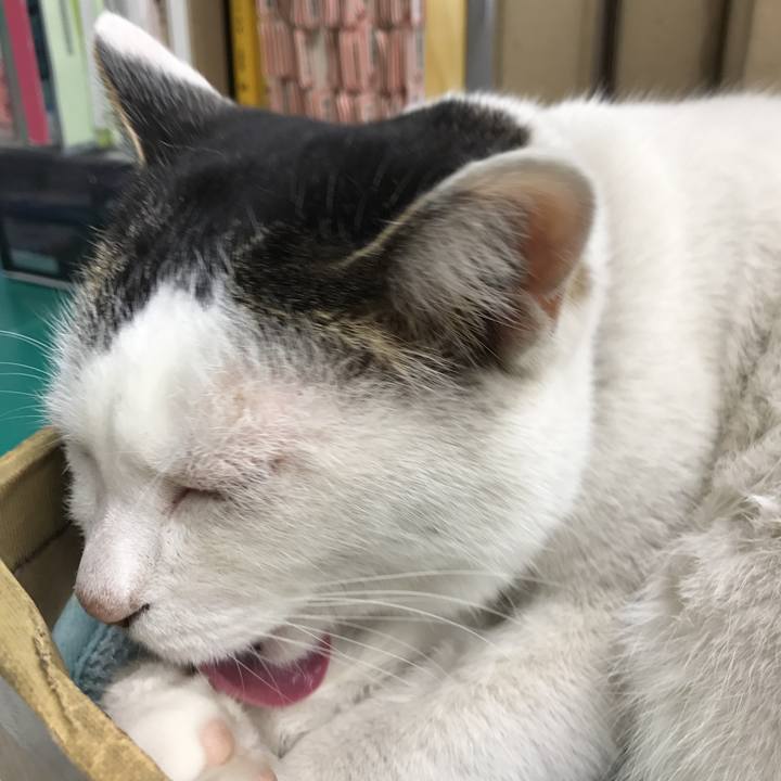 7dfc7c52 39dc 42fa a324 6813a449d3d8 1522211697910