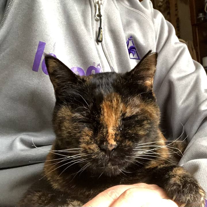 7dfc96ae dbc2 4ef9 8638 f67b5fe78791 1741927571145