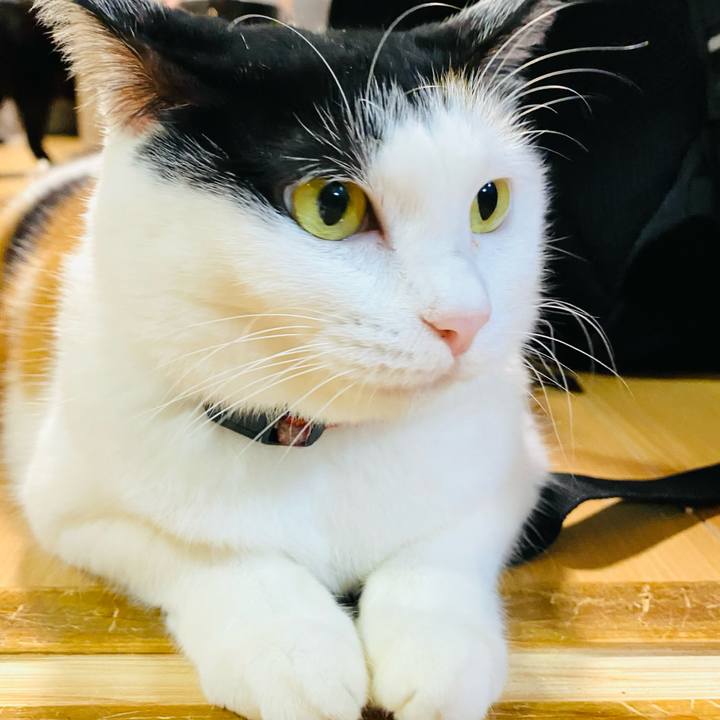 7dfc9e76 f6bf 4b19 9237 4f0888eedb90 1699189927165