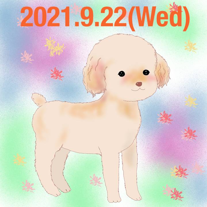 7dfca9e7 f8d1 4852 9fc7 c0b2db039289 1632316703545