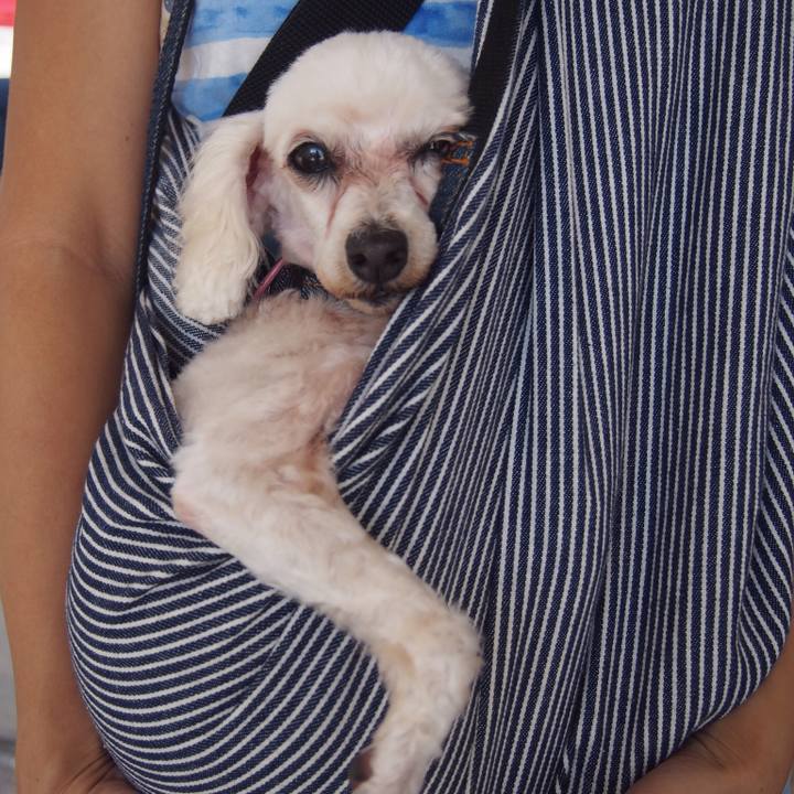 7dfcb36c 2776 4491 958e 0af884e6188c 1508638870665