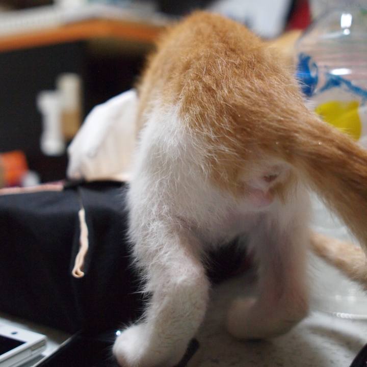 7dfcf5bd e372 4bfd af2a cc012eef0ed0 1538282707549