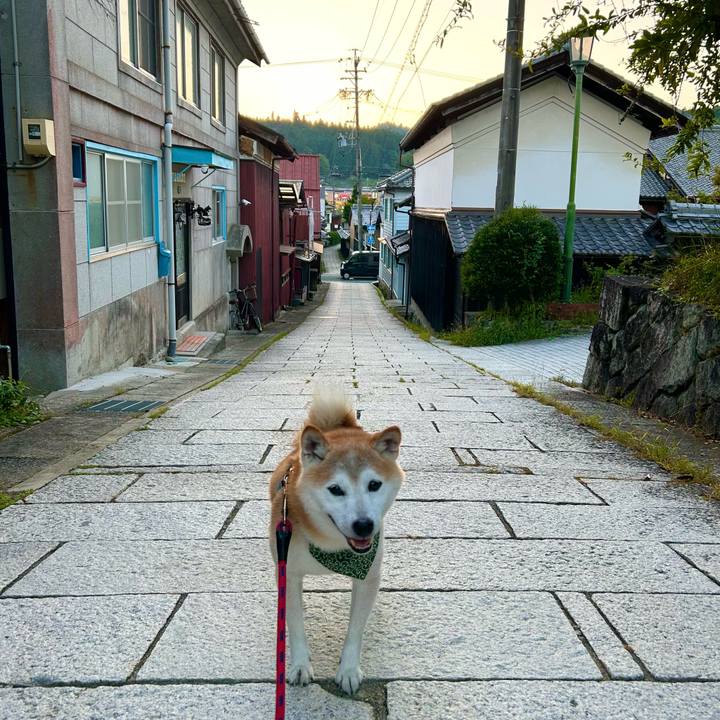 7dfcff0b bd6a 417d a4cf 9cdb798eb677 1756632506618