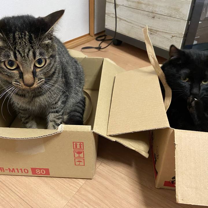 7dfd0bca 8e2f 46b9 874f 58026e5d1eee 1622201700198