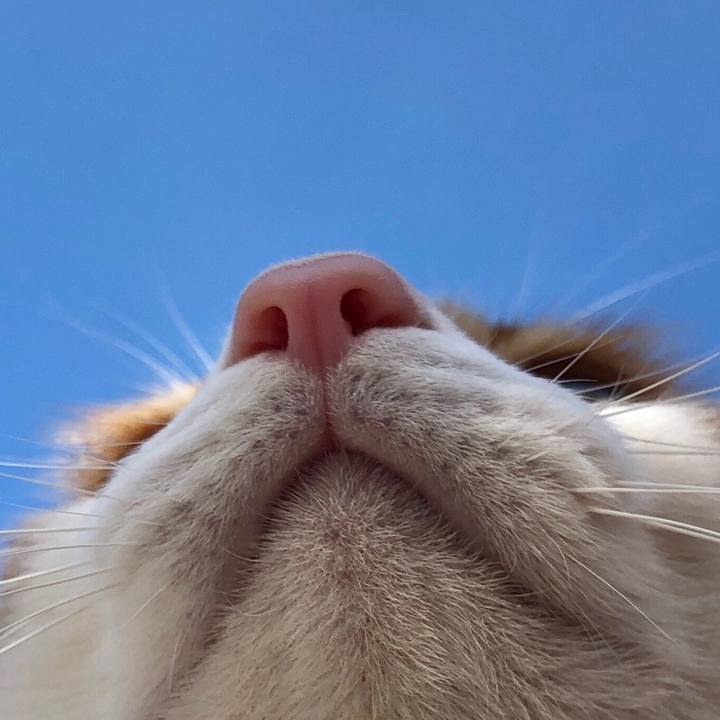 7dfd28ad 3e4b 4e4a 8cfb e7fbb1787cbb 1546130837133