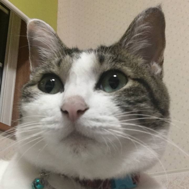 7dfd671f 0153 4e44 b599 312f81a95dec 1509109642262