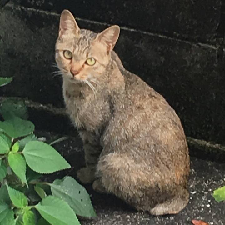 7dfda34b bd6f 41f3 970a 8119a5d6e937 1569224577472