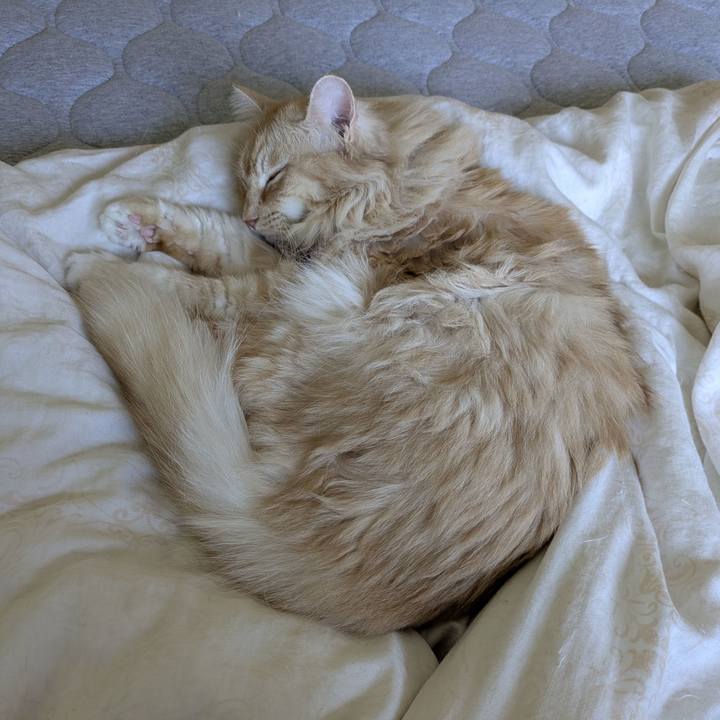 7dfdc23f 3d4f 4806 8a49 1ffe929eaa92 1756515505807