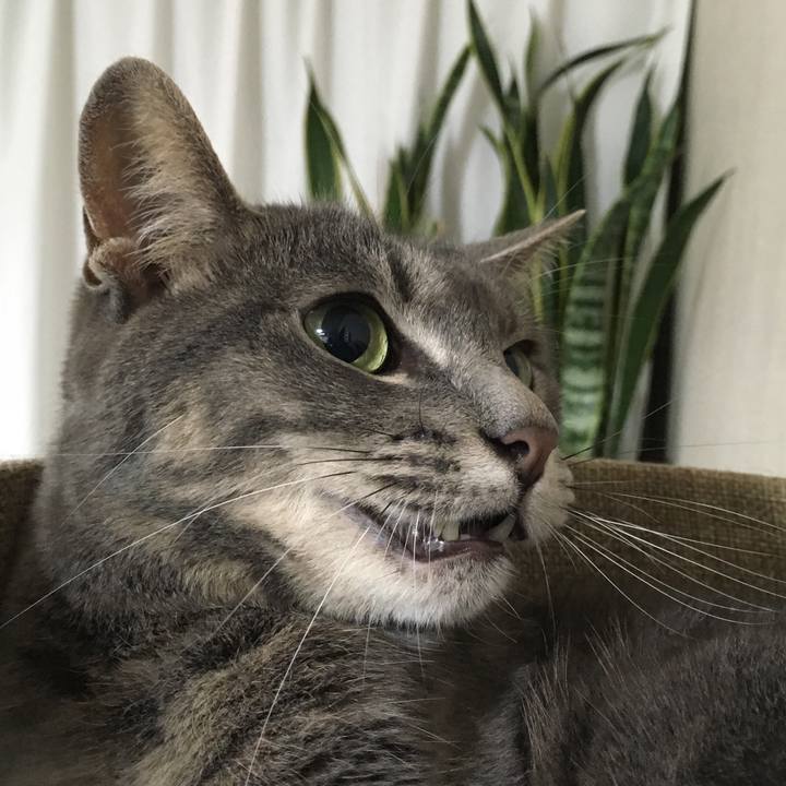 7dfdd5bf 45e4 47c9 91e7 7f5f3b6029c3 1562510281954