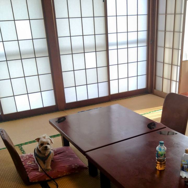 7dfdd5e7 dd4f 49c8 b2d3 3caba264fd96 1755171972945