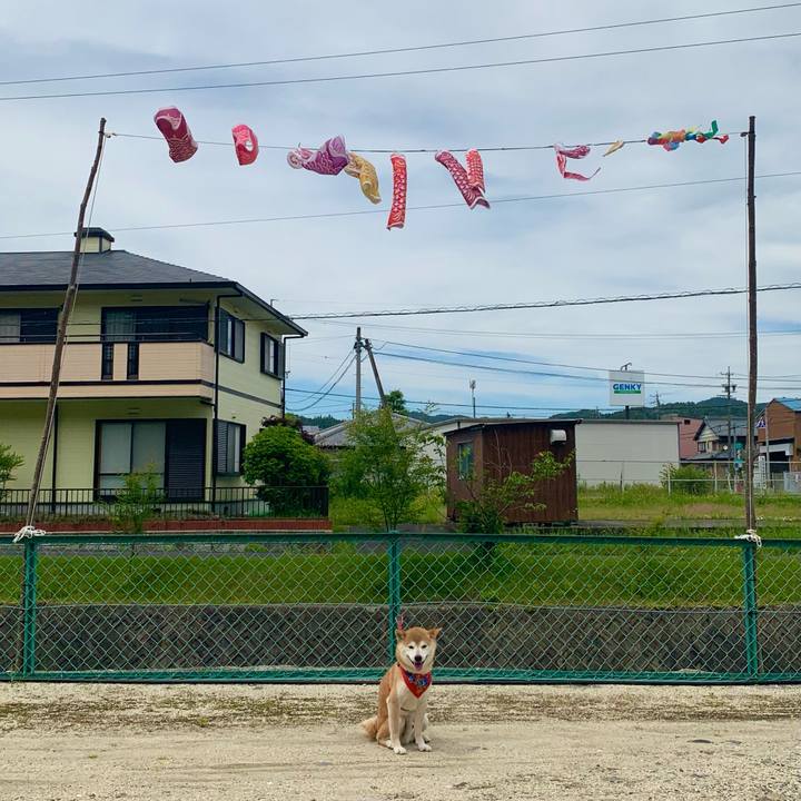 7dfe3842 5a8b 4c22 bdc9 3910816a7b68 1622447419249