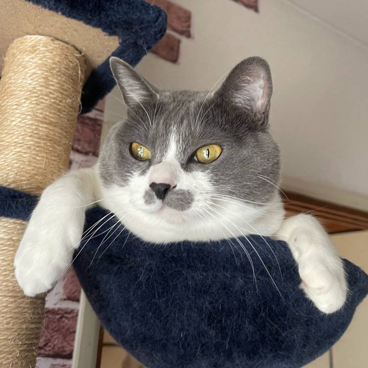 7dfe3d1f 7fa3 4123 9f89 0bb49ec7fe5a 1671236090037