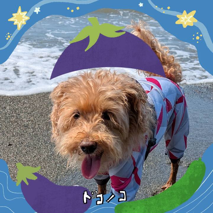 7dfe5d57 96b2 46d8 95e9 d2ab64545d16 1755121684520