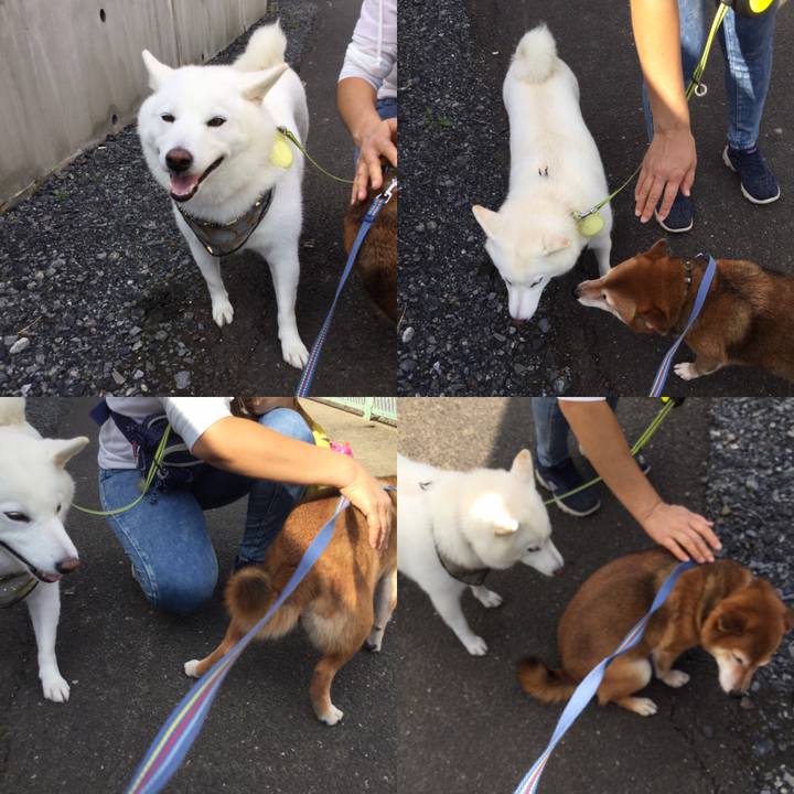 7dfe7676 b66b 493a ac07 c9b15b8444df 1572229246422