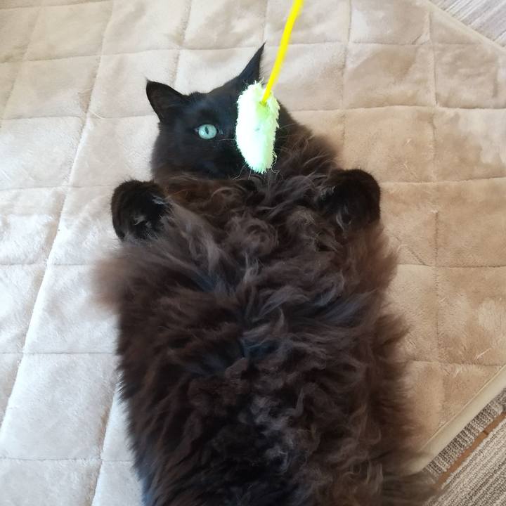 7dfe8010 36b8 4ccd 8530 2420e8f402de 1641349181576