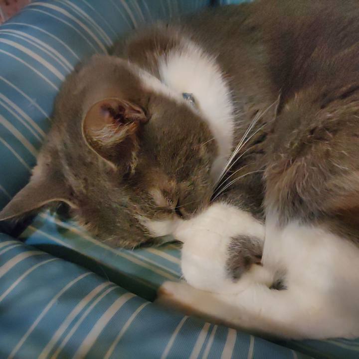 7dfebd2e 3942 4fa3 8b03 489be964a3a6 1707736278982