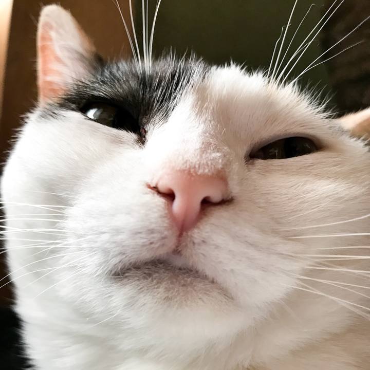 7dff08eb 722a 4808 8de7 d3b9169991c8 1525754708002