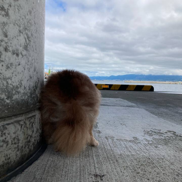 7dff2b20 d32e 4474 84ad 6fc8429b807d 1723754517654