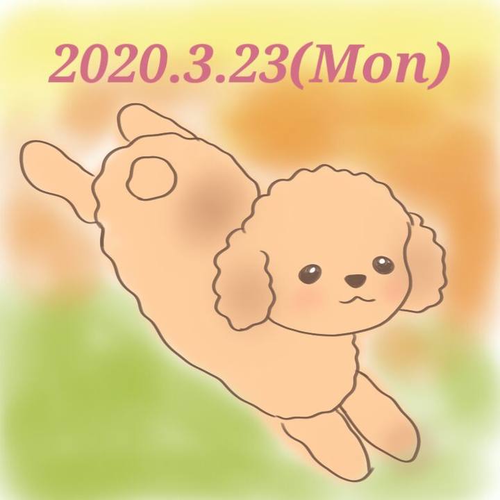 7dff4c5b b5bf 4960 ad3f a0c7f206be77 1584967208122