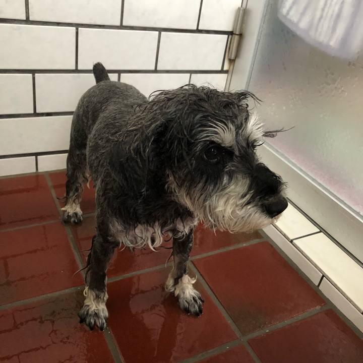 7dff6dd0 5852 4ac6 be1f c28e3042cbae 1668925300053